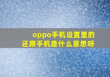 oppo手机设置里的还原手机是什么意思呀