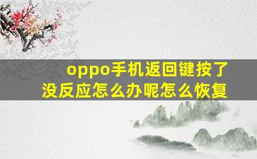 oppo手机返回键按了没反应怎么办呢怎么恢复