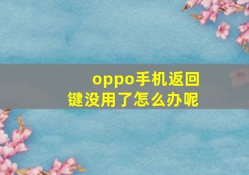 oppo手机返回键没用了怎么办呢