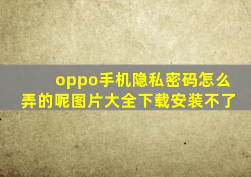 oppo手机隐私密码怎么弄的呢图片大全下载安装不了