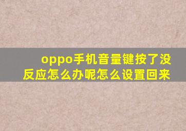 oppo手机音量键按了没反应怎么办呢怎么设置回来