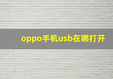 oppo手机usb在哪打开