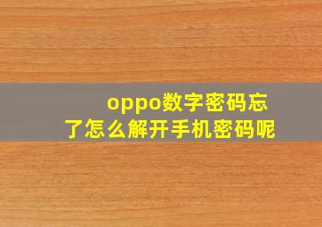 oppo数字密码忘了怎么解开手机密码呢