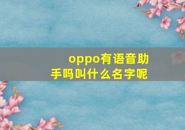 oppo有语音助手吗叫什么名字呢