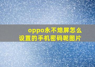 oppo永不熄屏怎么设置的手机密码呢图片