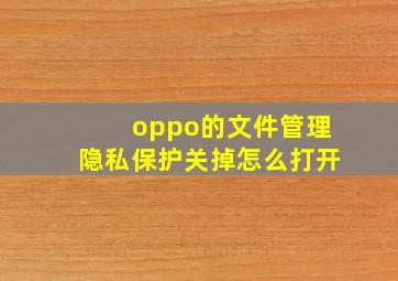 oppo的文件管理隐私保护关掉怎么打开