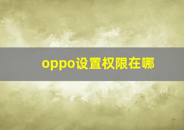 oppo设置权限在哪