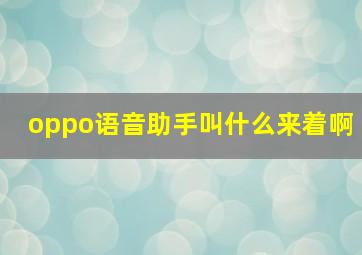 oppo语音助手叫什么来着啊