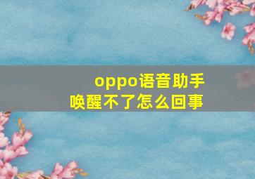 oppo语音助手唤醒不了怎么回事