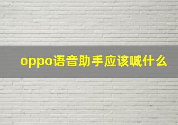 oppo语音助手应该喊什么