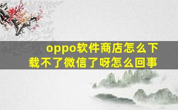 oppo软件商店怎么下载不了微信了呀怎么回事