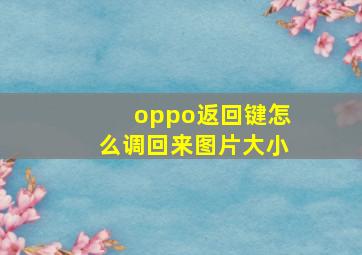 oppo返回键怎么调回来图片大小