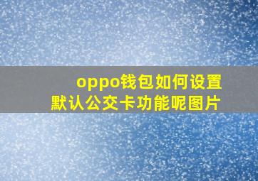 oppo钱包如何设置默认公交卡功能呢图片