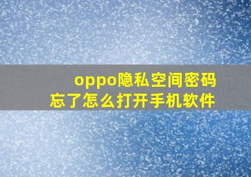 oppo隐私空间密码忘了怎么打开手机软件