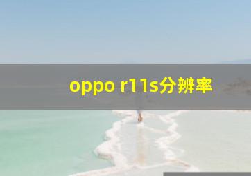 oppo r11s分辨率