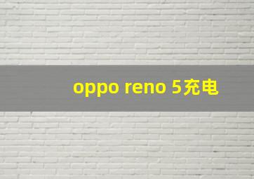 oppo reno 5充电