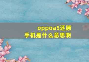 oppoa5还原手机是什么意思啊