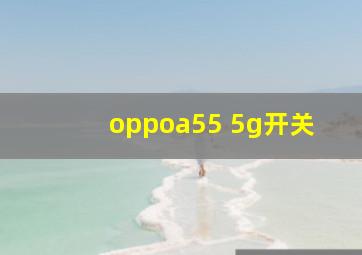 oppoa55 5g开关