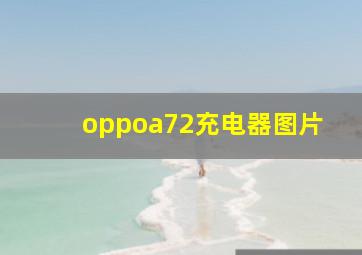 oppoa72充电器图片