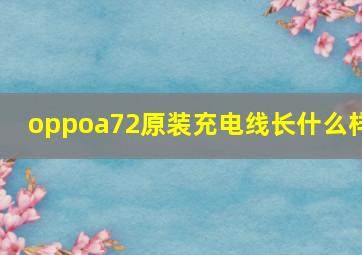 oppoa72原装充电线长什么样