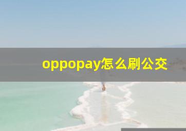 oppopay怎么刷公交