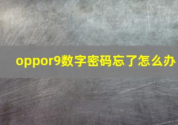 oppor9数字密码忘了怎么办