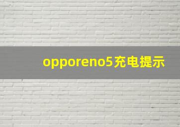 opporeno5充电提示