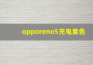 opporeno5充电紫色