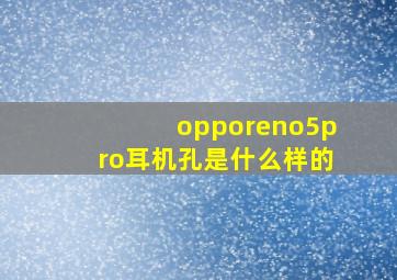 opporeno5pro耳机孔是什么样的