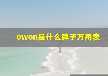 owon是什么牌子万用表