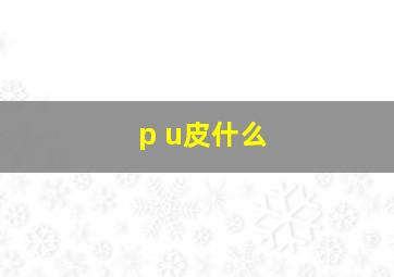 p u皮什么