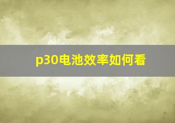 p30电池效率如何看