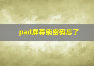 pad屏幕锁密码忘了