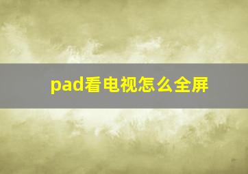 pad看电视怎么全屏