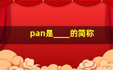 pan是____的简称