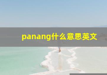 panang什么意思英文