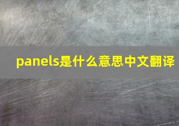 panels是什么意思中文翻译