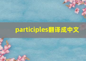 participles翻译成中文