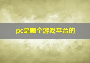 pc是哪个游戏平台的