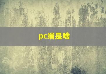 pc端是啥