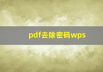 pdf去除密码wps