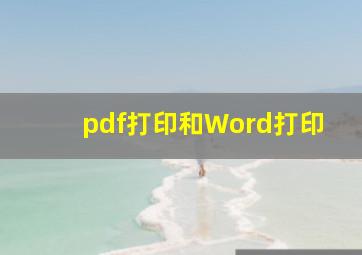 pdf打印和Word打印