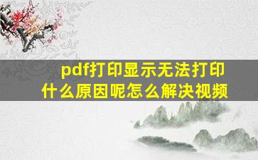 pdf打印显示无法打印什么原因呢怎么解决视频