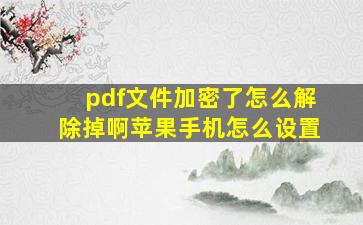 pdf文件加密了怎么解除掉啊苹果手机怎么设置