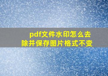 pdf文件水印怎么去除并保存图片格式不变