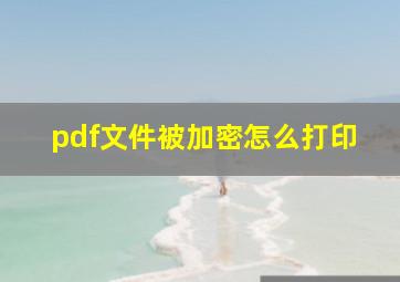 pdf文件被加密怎么打印