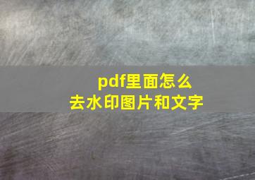 pdf里面怎么去水印图片和文字