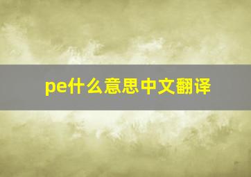 pe什么意思中文翻译