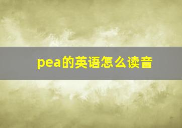 pea的英语怎么读音