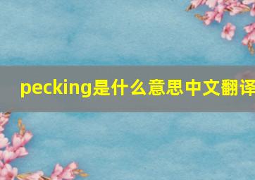 pecking是什么意思中文翻译